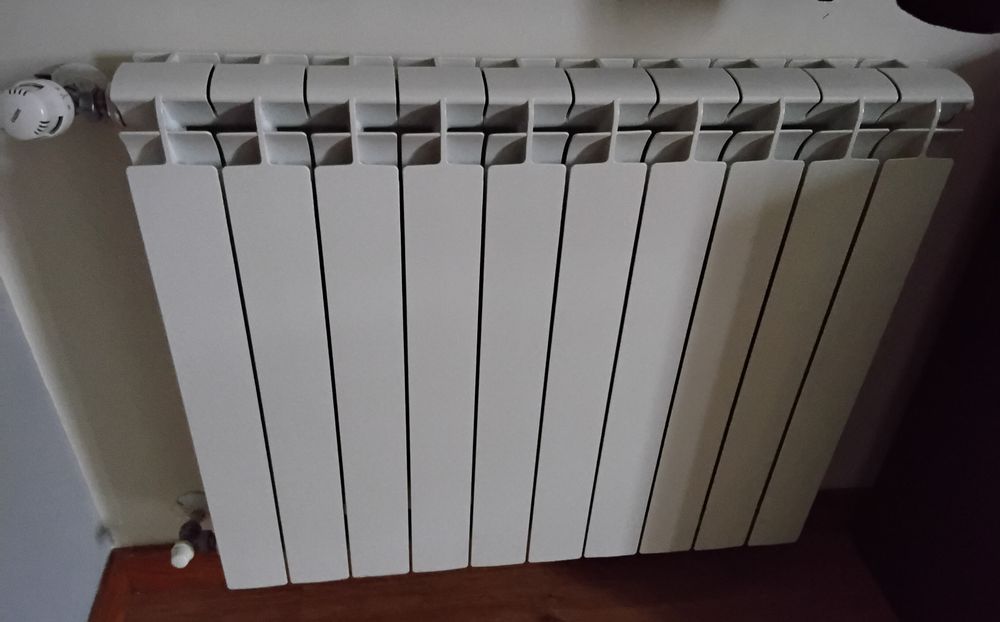 Radiadores 10 elementos e válvula termóstato