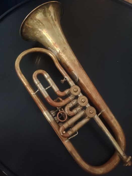 Trąbka boczna Skrzydłówka Kornet Weltklang