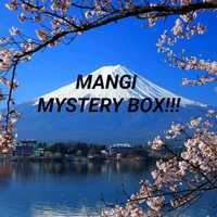 Mangi Mystery Box!!! 14 Mang
