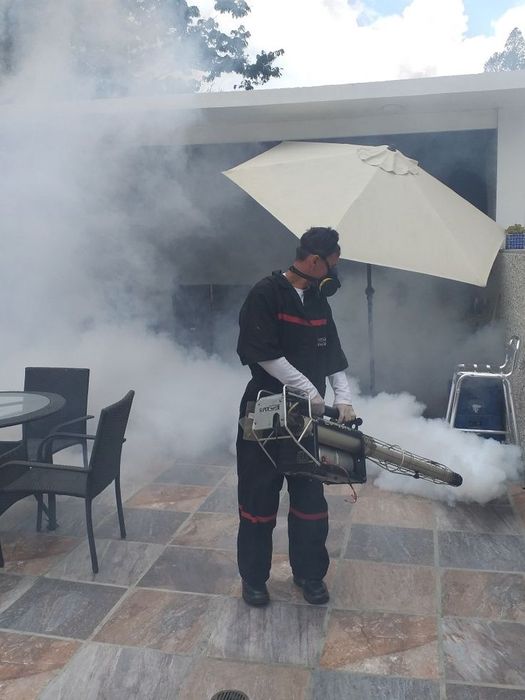 DESINFESTAÇÃO CONTROLO D EPRAGAS PERCEVEJOS BARATAS PULGAS TÉRMITAS