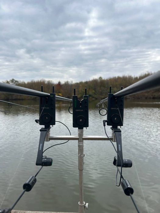 Carp pro caratus 3+1