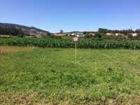Terreno agrícola com 1680 m2 - Silva (Barcelos)