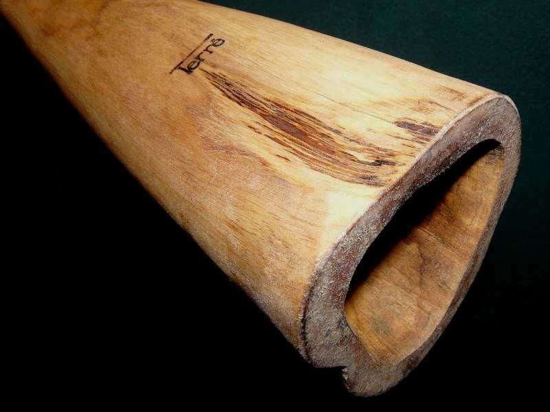 Didgeridoo - Drzewo Tekowe (130 cm), firmy Terre - NOWE