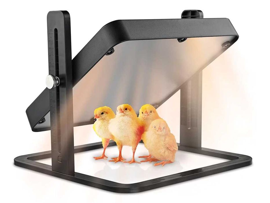 SZTUCZNA KWOKA 25x25cm Odchowalnik do odchowu Kur Kurcząt Szczeniąt