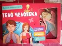 Игра-обучалка Тело человека