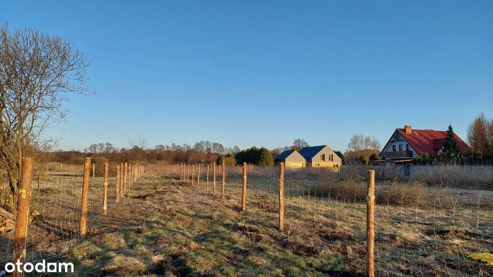 Działka budowlana w Wielgowie