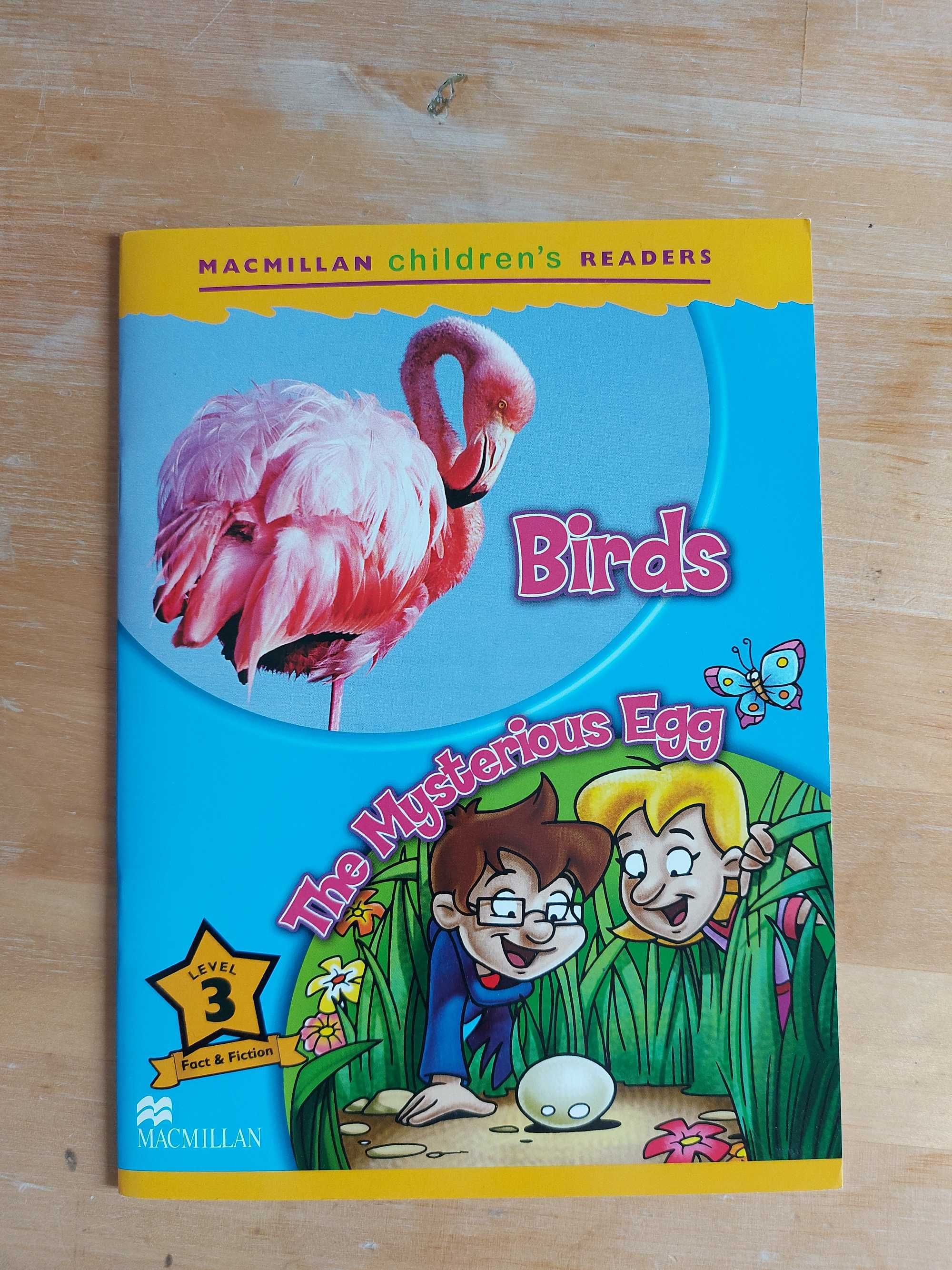 Birds. The mysterious egg  książka w języku angielskim
