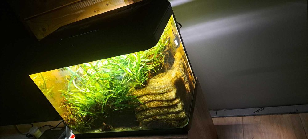 Akwarium gięte nowe .