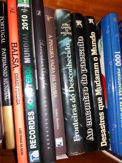 Livros (100 livros)