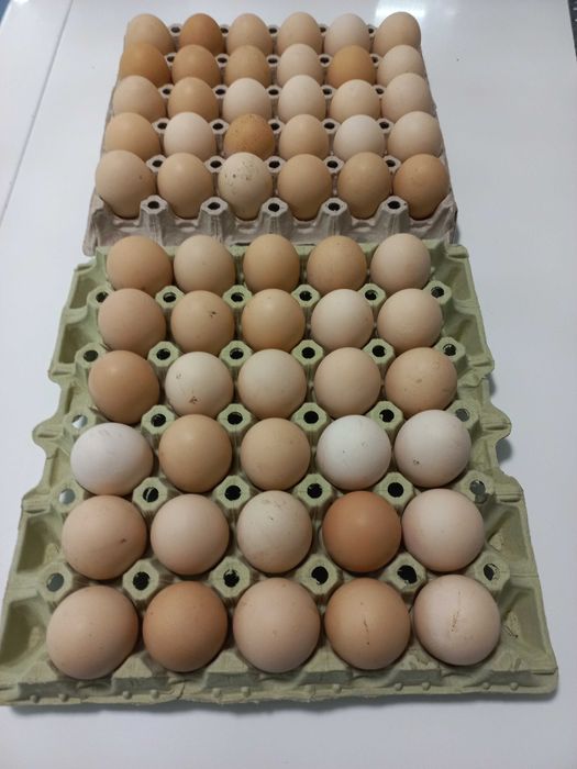 Wiejskie jajka,od kur z wolnego wybiegu,na pokrzywach i lucernie...