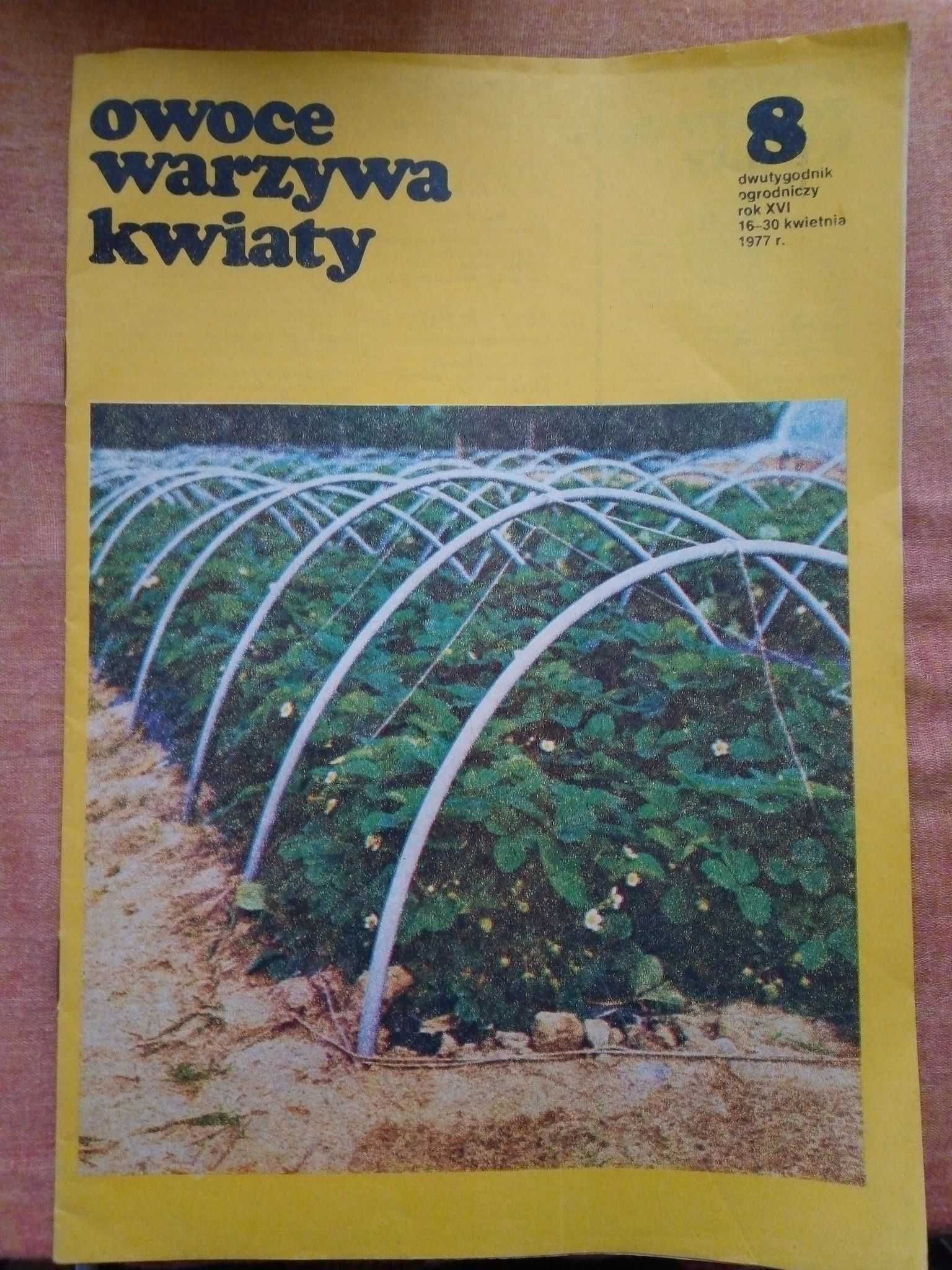 Owoce warzywa kwiaty dwutygodnik 8 1977 ogrodniczy gazeta czasopismo