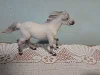 Sprzedam! Kuc collecta