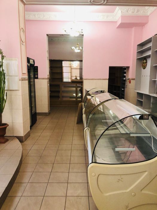 Потужне захищене підвальне приміщення (110 м²) ; вентиляція; санвузол;