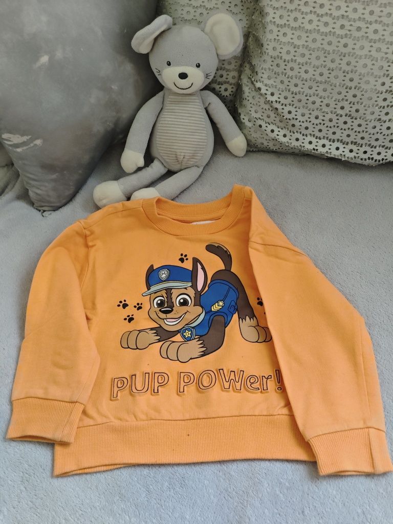 Bluza CHASE Psi patrol Sinsey r. 98