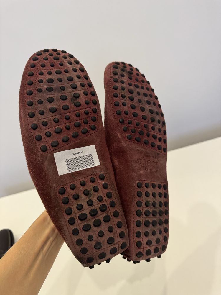 Чоловічі туфлі Tods , Fabrizio Sassetti