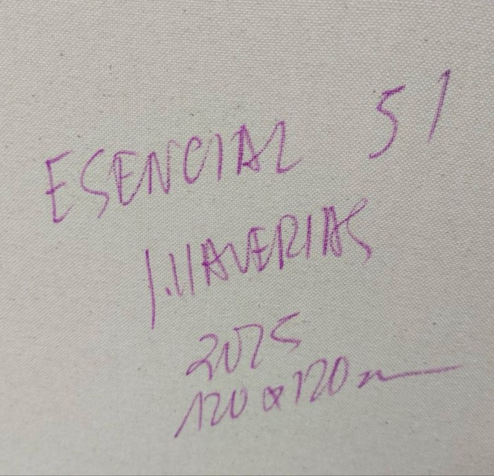 JoanLLaverias , Acrílico sobre tela
