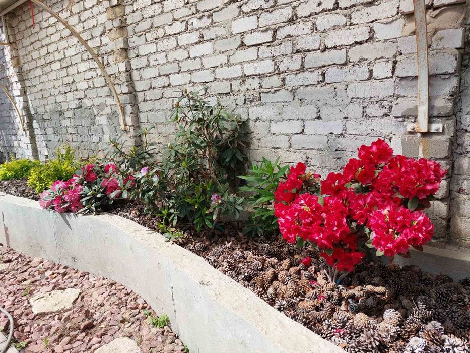 Сдам дом  Совиньон генератор 3 к евроремонт,место для авто можно живот