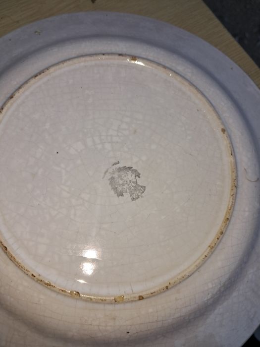 Prato malmequer,louca de sacavem