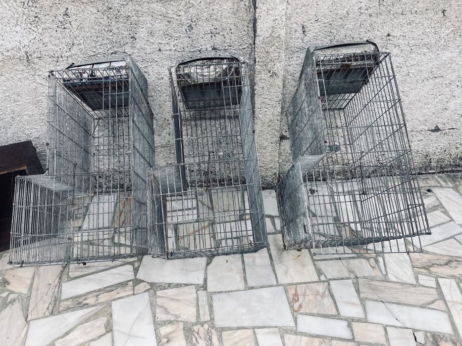 Varias gaiolas a partir de 5€ pra despachar