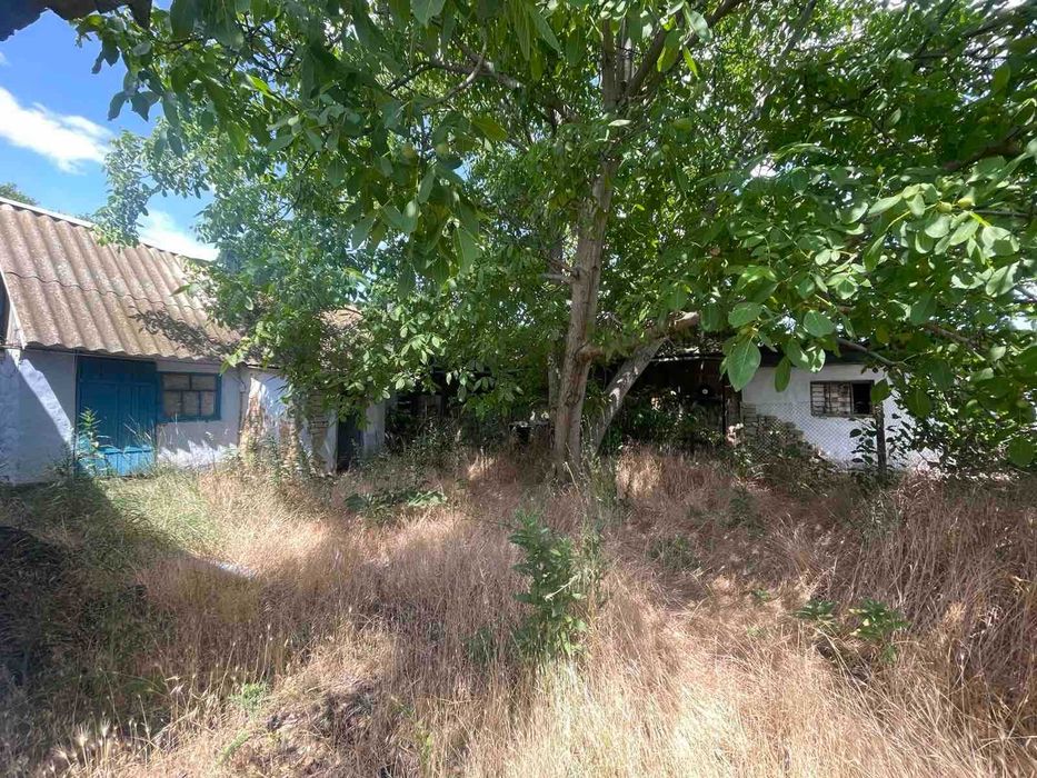 Будинок у с.Зелений  Гай, 20 км від міста. 30 соток землі