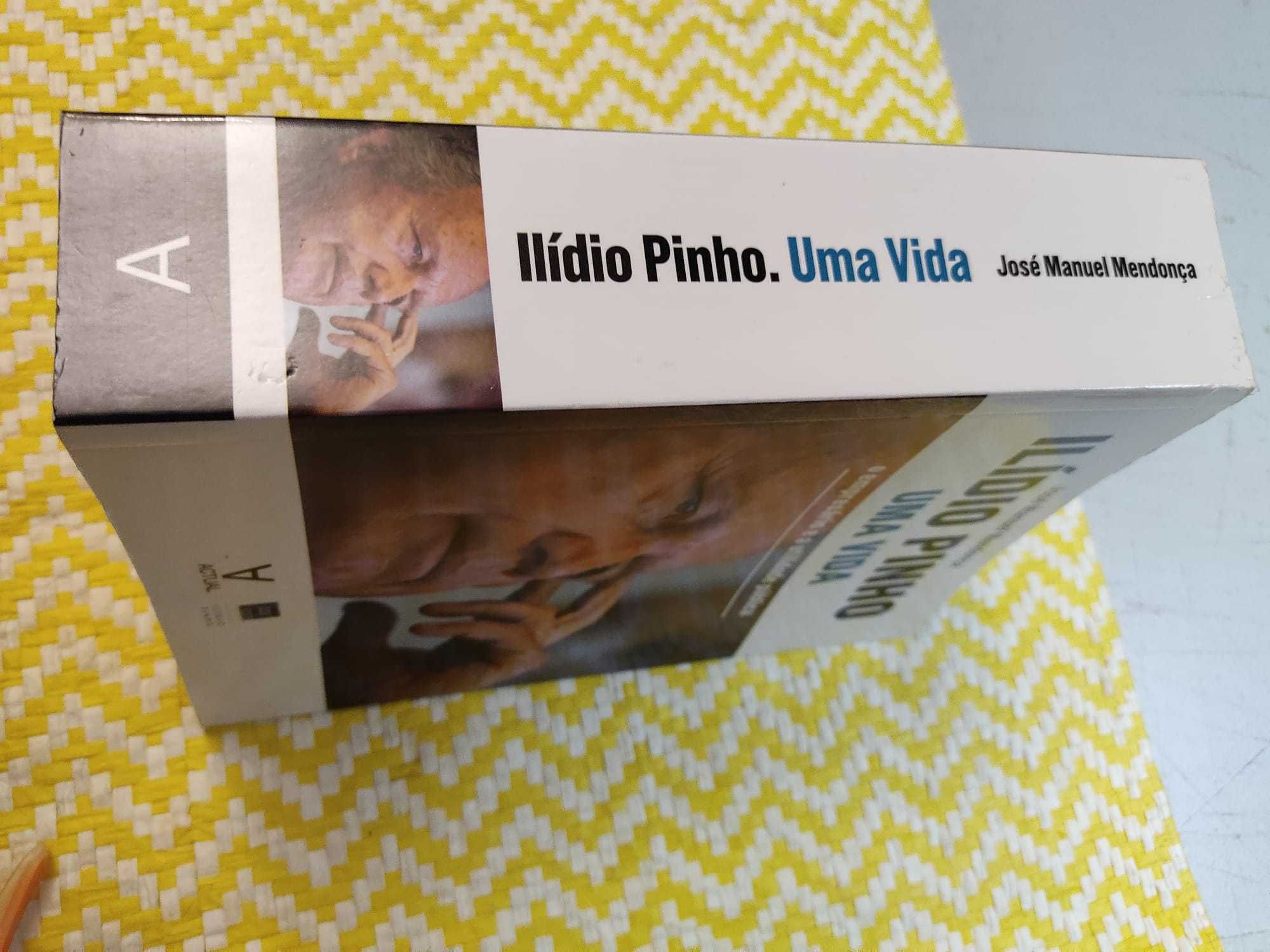 ILÍDIO PINHO - Uma Vida
O Empresário e a utilidade pública