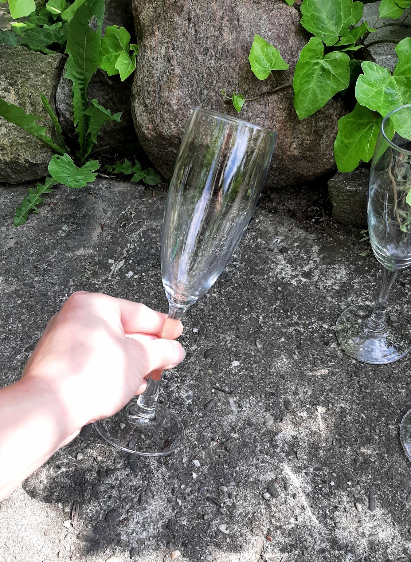 Komplet Kieliszków do Szampana do Domu Baru Wina Alkoholu Kieliszki