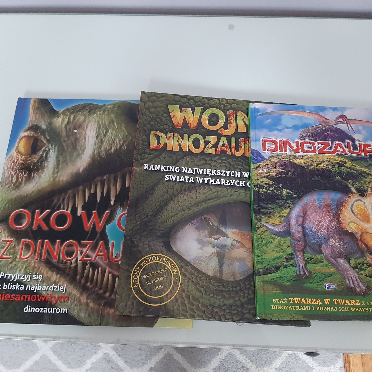Dla fana dinozaurów figurki, książki