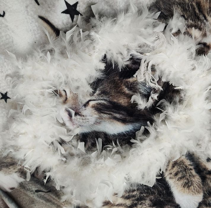 Biały szal boa z pior