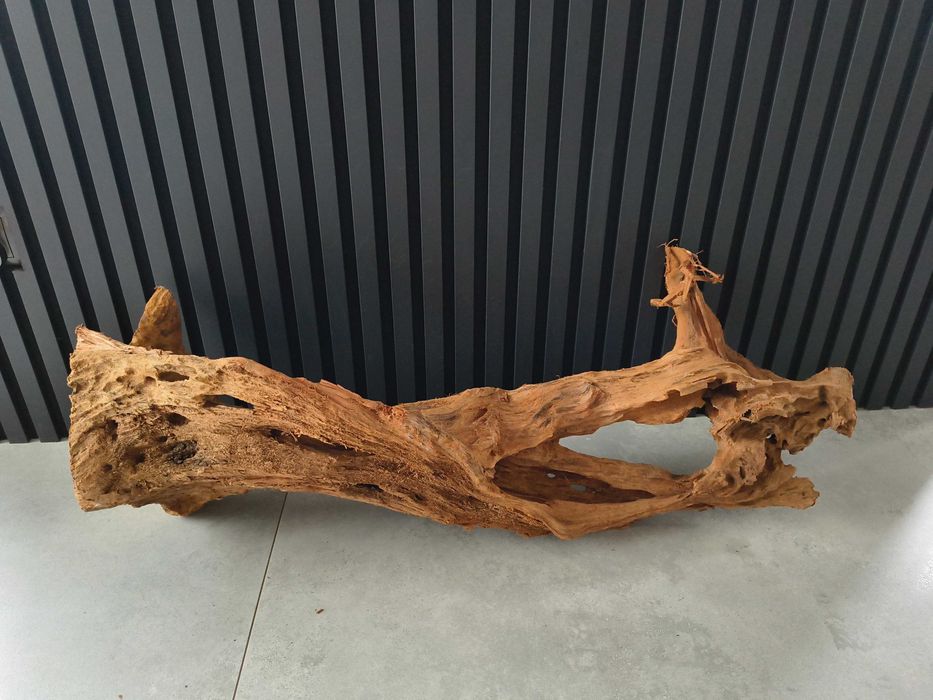 Korzeń MANGROWCA XXL 1001 akwarium terrarium 90x40x30 Unikat Duży