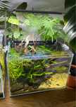 Akwarium nano aquael eden chihiros optiwhite 20L