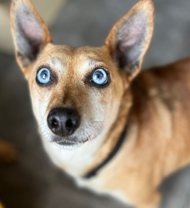 Żabka czeka na upragniony dom