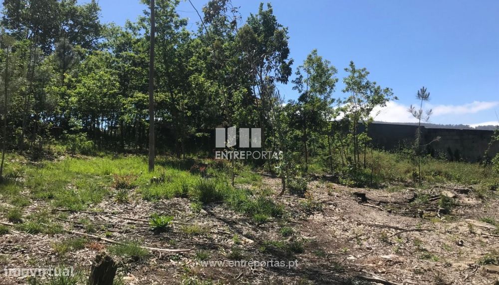 Terreno de construção para venda, Venade, Caminha
