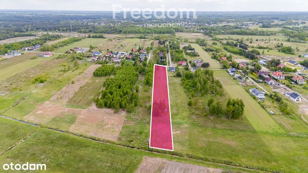 Nieruchomość 7000 m² pełne możliwości!