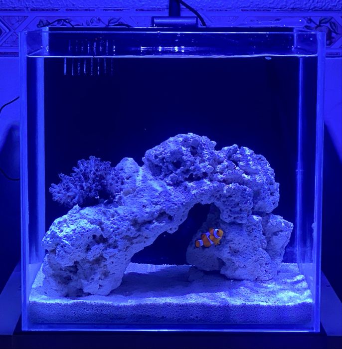 Aquário Cubo 30x30 Com Sump Traseira