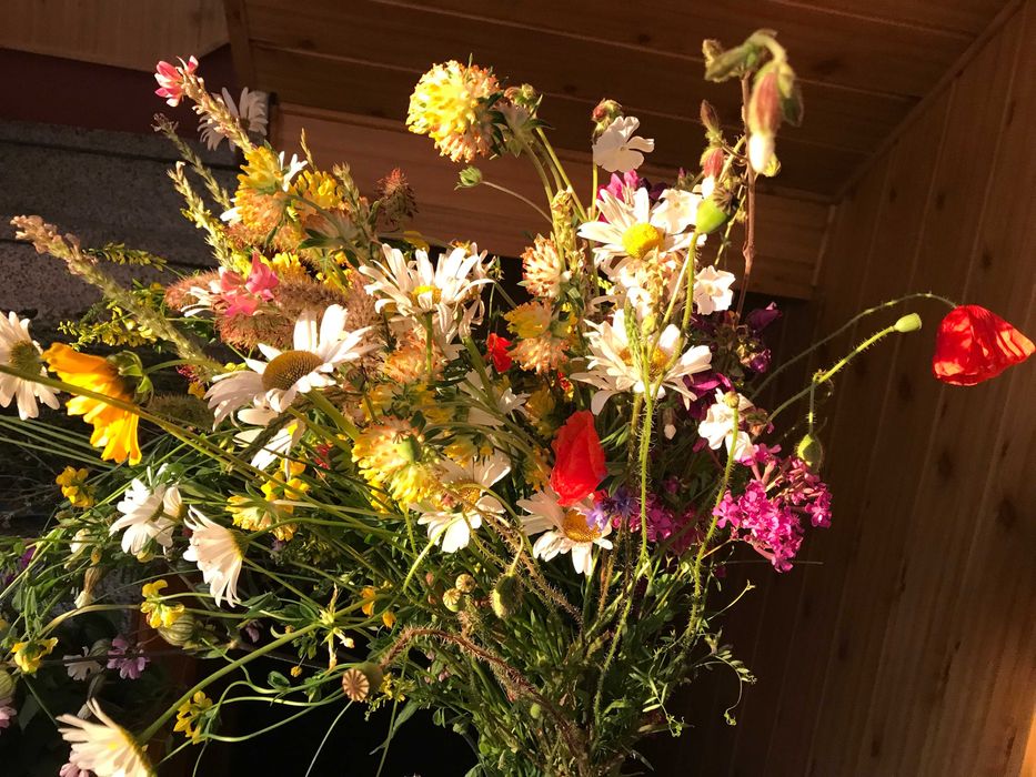 Zielnik rośliny 2025