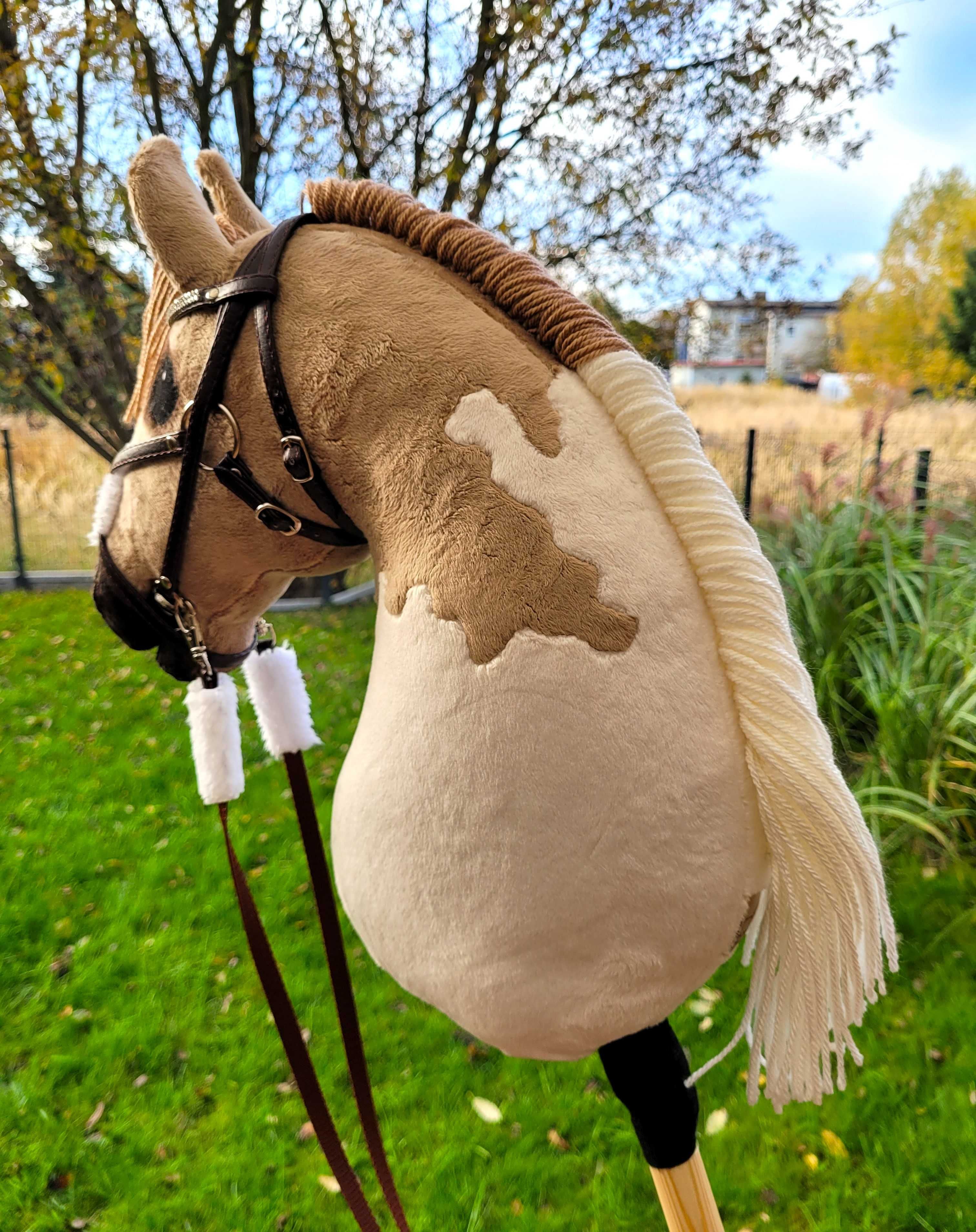 Hobby Horse, Konik na kiju, A3, do ujeżdżenia #167