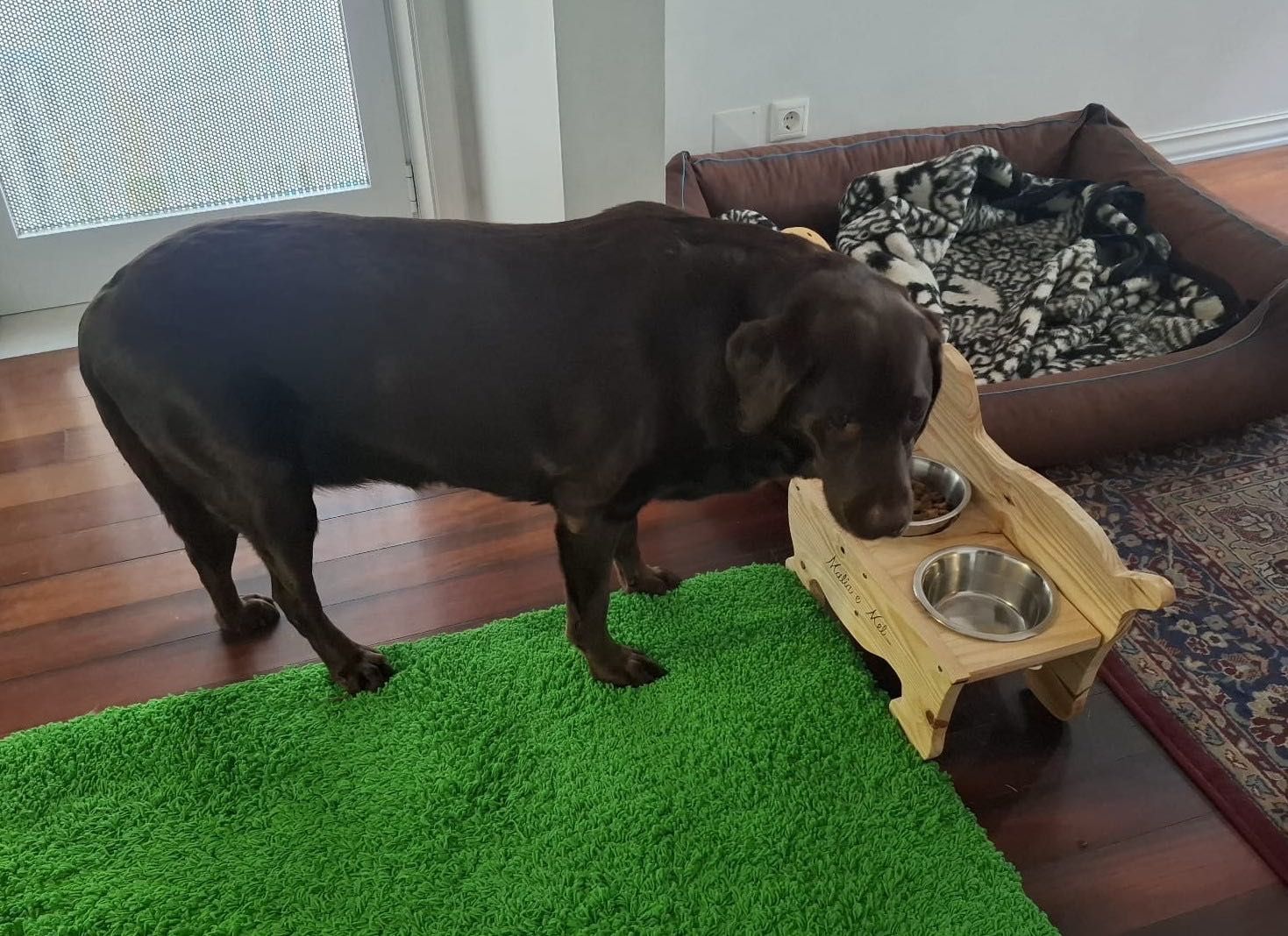 Comedouro e Bebedouro para Cão