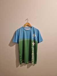 camisola heineken futebol L Euro 2020/2021 verde e azul