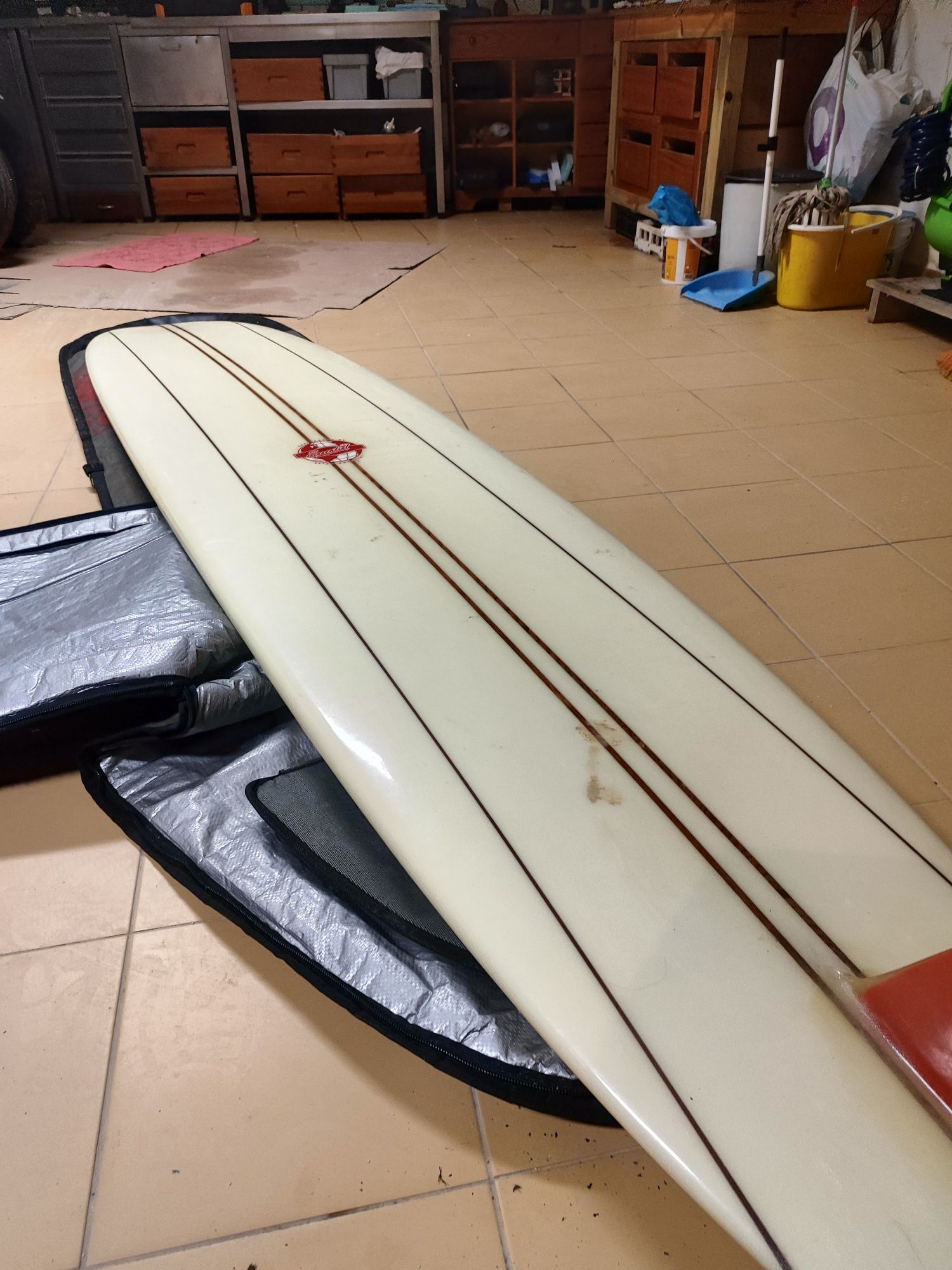 Longboard Essential 10 Dan Costa
