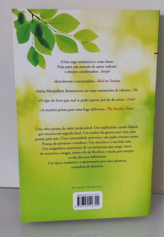 Livro A virgem cigana