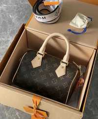 LV Speedy 20 bag