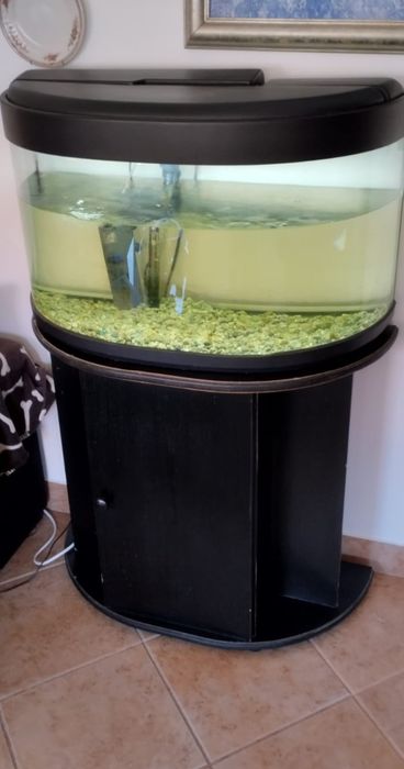 Aquário panorâmico  e móvel