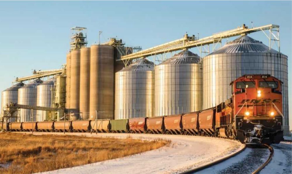 ТОВ з діяльнісю у сфері перевезень