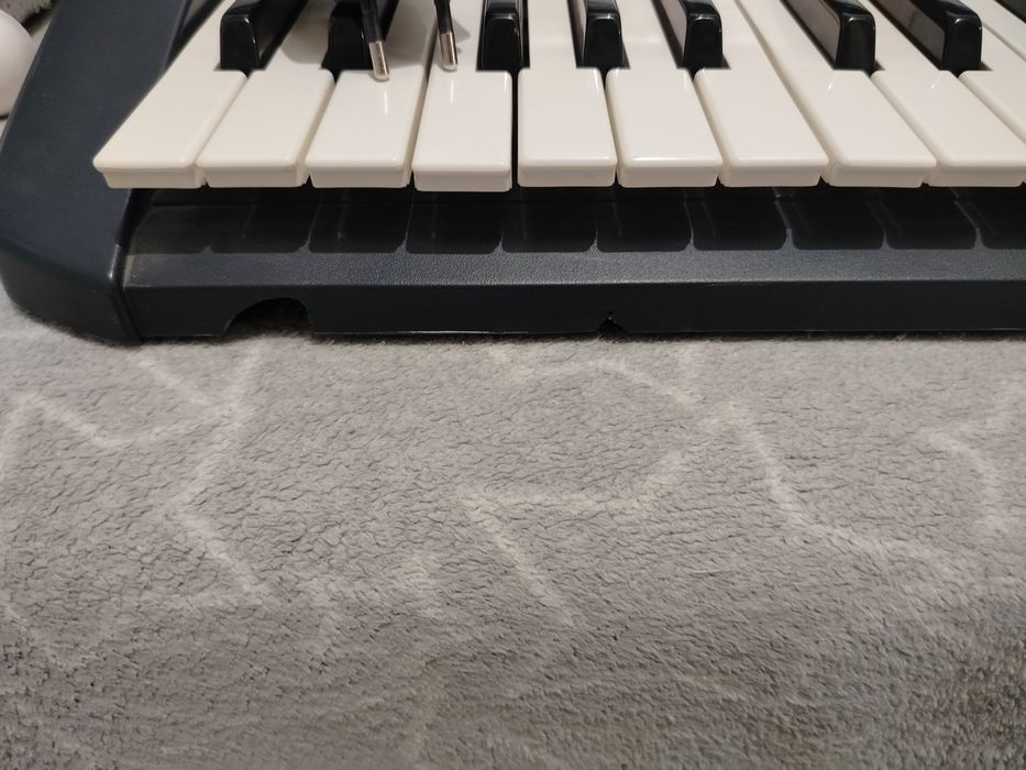 Keyboard Casio polecam