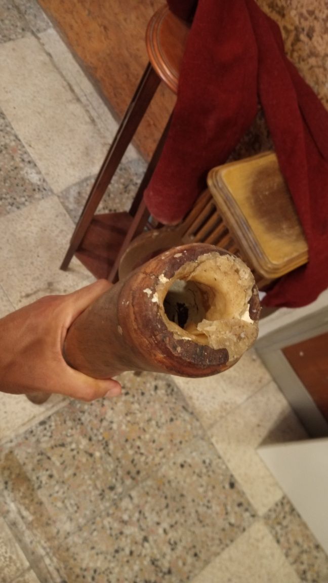 Vendo didjiridu australiano