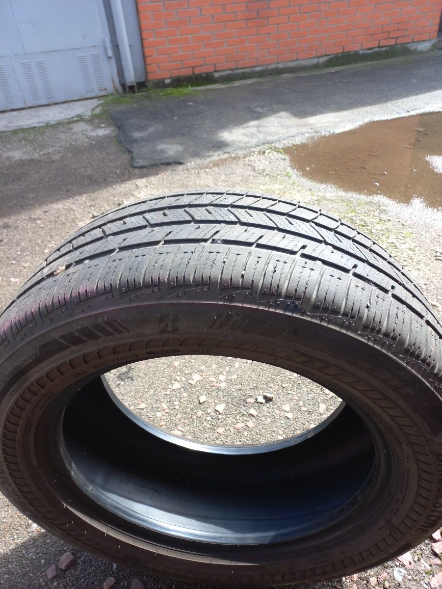 Bridgestone DriveGuard plus 255 55 18 Всесезон 2023 р.в.