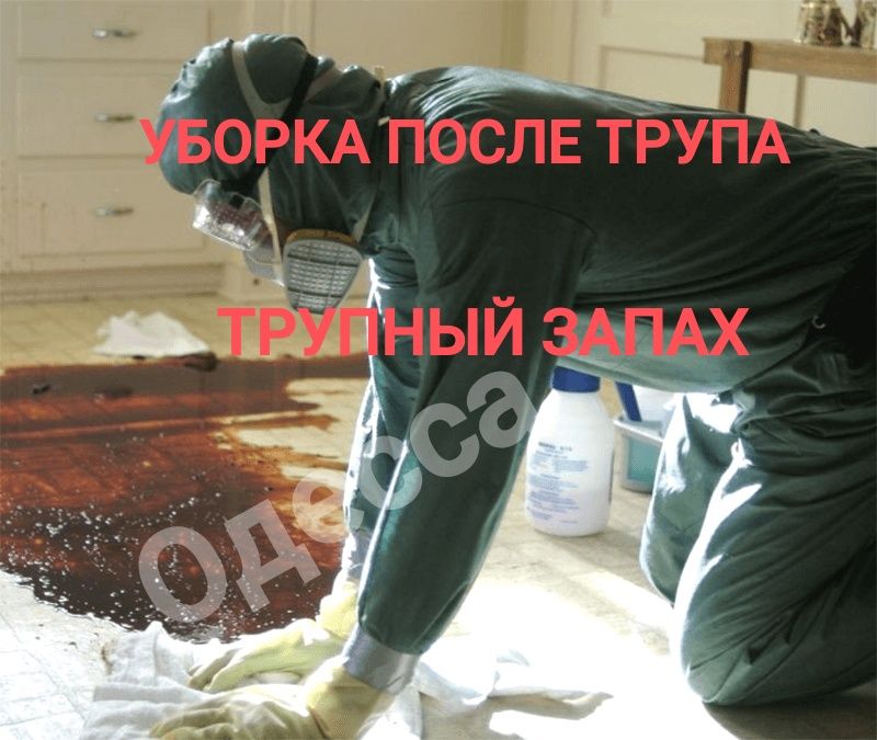 ‼️ ТРУПНЫЙ ЗАПАХ Уборка квартир после СМЕРТИ ПОЖАРА МОЧИ животных