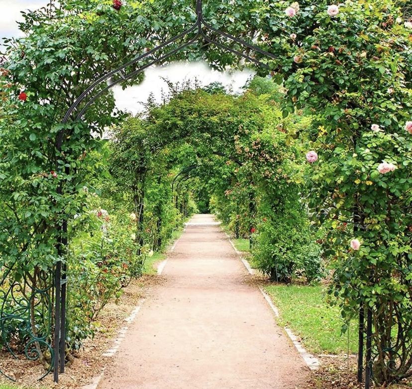 Pergola stojak kwietnik na rośliny kwiaty łuk 240 cm