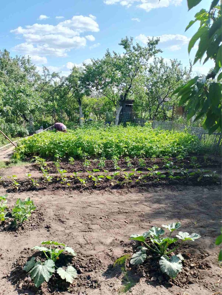 Продам дачу, югоковские дачи