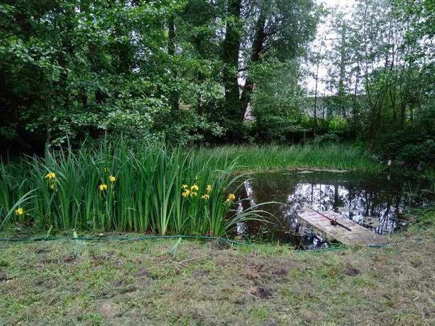 Działka nad morzem (Łowno) koło miedzywodzia